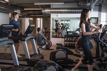 Fully-equipped gym with cardio and free weights